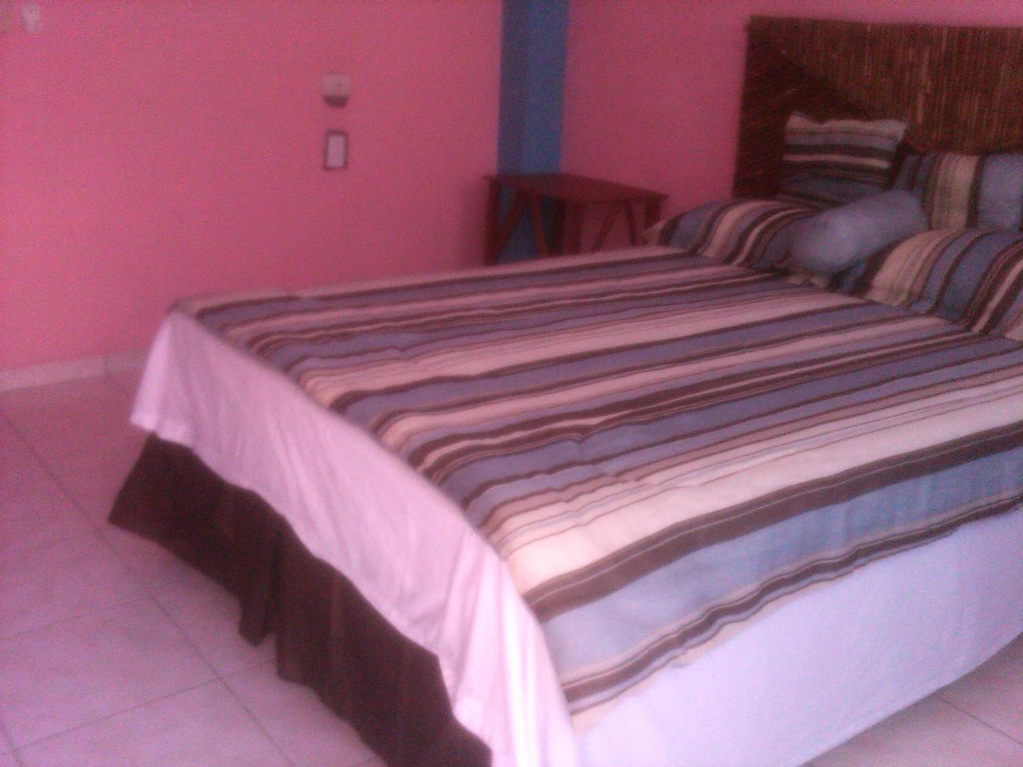 La Delphina Bed And Breakfast Bar And Grill La Ceiba Extérieur photo